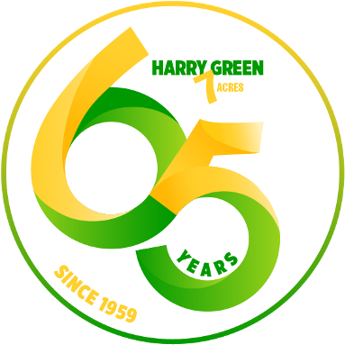 Harry Green Automotive Clarksburg, WV